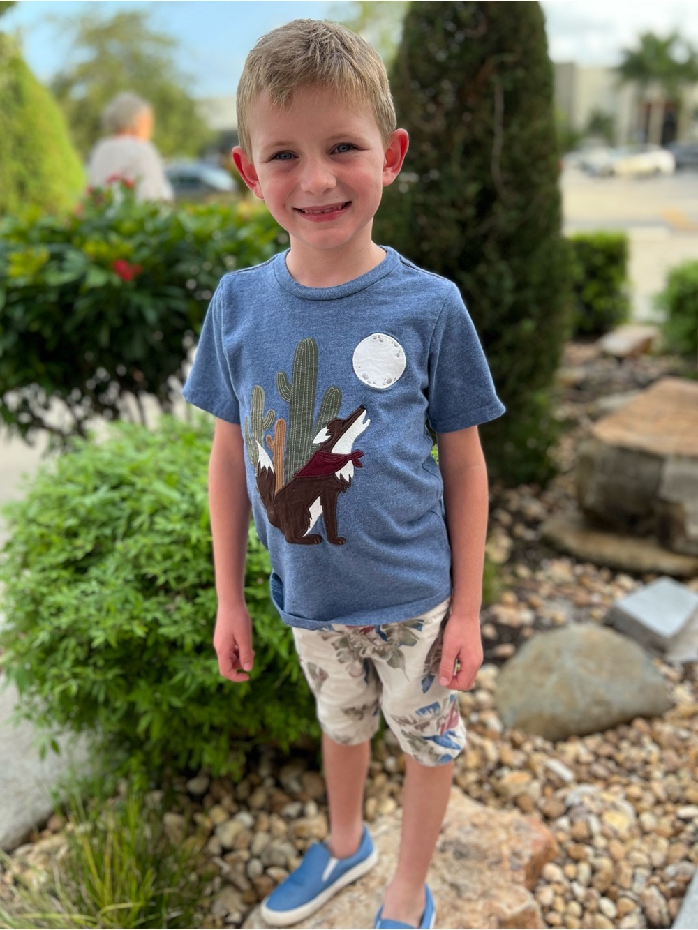 Gymboree Blue Desert Graphic and shorts and tee set